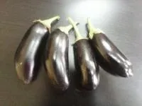 Баклажан оптом
