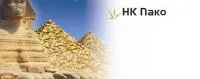 Семена кукурузы Syngenta НК Пако