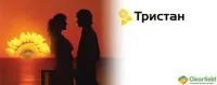 Семена подсолнечника Сингента Тристан