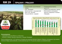 Семена подсолнечника Пионер ПР62А91 / PR62A91