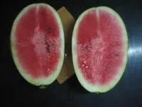 Арбуз ТРИУМФАТОР F1 (1000 семян) Hollar Seeds