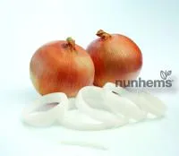 Лук Яровой УНИВЕРСО F1 (100 000 семян) Nunhems